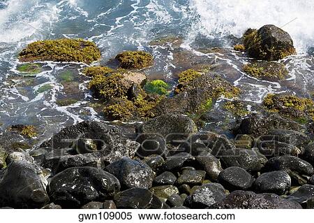 Stock Photography - High angle view of rocks on the beach, Hookipa Beach Park, Maui, Hawaii Islands, USA. Fotosearch