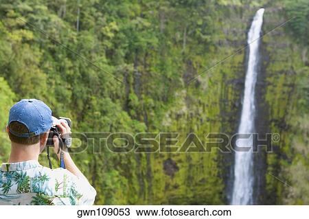 Rear view of a man taking a photograph of a waterfall, Akaka Falls, Akaka Falls State Park, Hilo, Big Island, Hawaii Islands, USA View Large Photo Image Stock Image - Rear view of a man taking a photograph of a waterfall, Akaka Falls, Akaka Falls State Park, Hilo, Big Island, Hawaii Islands, USA. Fotosearch