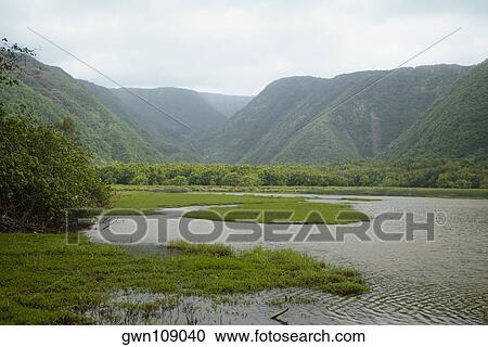 River flowing in a valley, Pololu Valley, Kohala, Big Island, Hawaii Islands, USA View Large Photo Image Stock Image - River flowing in a valley, Pololu Valley, Kohala, Big Island, Hawaii Islands, USA. Fotosearch