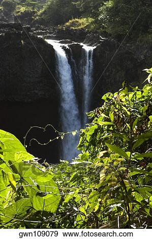 Waterfall in a forest, Rainbow Falls, Hilo, Big Island, Hawaii Islands, USA View Large Photo Image Stock Photo - Waterfall in a forest, Rainbow Falls, Hilo, Big Island, Hawaii Islands, USA. Fotosearch