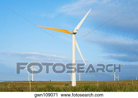 Wind turbines in a field, Pakini Nui Wind Project, South Point, Big Island, Hawaii Islands, USA View Large Photo Image Stock Image - Wind turbines in a field, Pakini Nui Wind Project, South Point, Big Island, Hawaii Islands, USA. Fotosearch