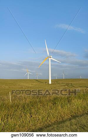 Wind turbines in a field, Pakini Nui Wind Project, South Point, Big Island, Hawaii Islands, USA View Large Photo Image Stock Photograph - Wind turbines in a field, Pakini Nui Wind Project, South Point, Big Island, Hawaii Islands, USA. Fotosearch