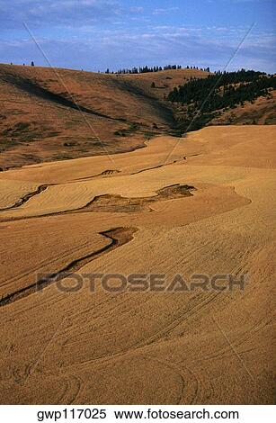 Aerial, Farm country, Washington State View Large Photo Image Stock Photography - Aerial, Farm country, Washington State. Fotosearch