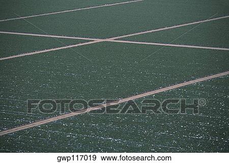 Aerial of farm fields View Large Photo Image Stock Photo - Aerial of farm fields. Fotosearch