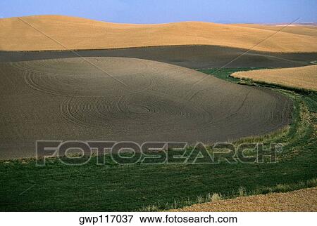 Aerial view of contour plowed fields, Washington state View Large Photo Image Stock Photo - Aerial view of contour plowed fields, Washington state. Fotosearch