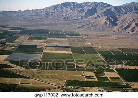 Desert agriculture, Imperial Valley, California View Large Photo Image Stock Image - Desert agriculture, Imperial Valley, California. Fotosearch