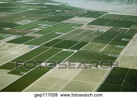Desert agriculture, Imperial Valley, California View Large Photo Image Stock Photo - Desert agriculture, Imperial Valley, California. Fotosearch