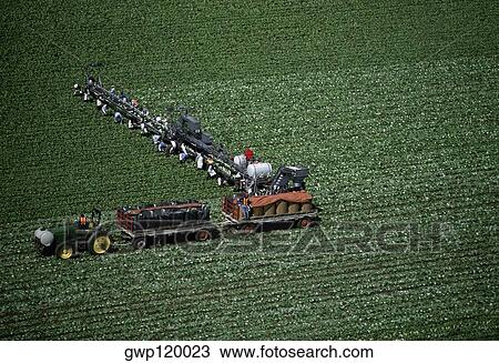 Aerial, harvesting head lettuce View Large Photo Image Stock Image - Aerial, harvesting head lettuce. Fotosearch