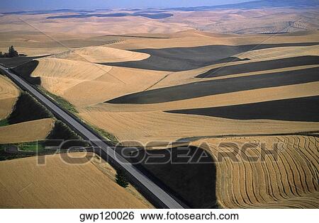 Stock Photograph - Aerial view of contour plowed fields, Washington state. Fotosearch