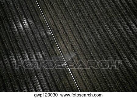 Irrigation sprayers in vegetable fields View Large Photo Image Stock Image - Irrigation sprayers in vegetable fields. Fotosearch