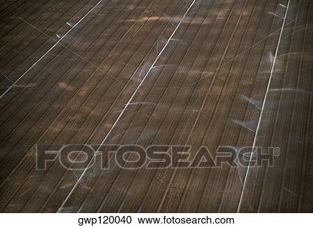 Stock Image - Irrigation sprayers in vegetable fields. Fotosearch