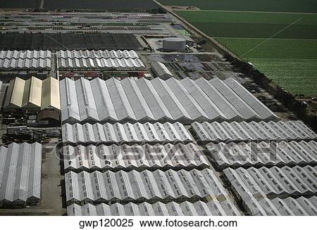 Stock Photography - Large vegetable greenhouses. Fotosearch