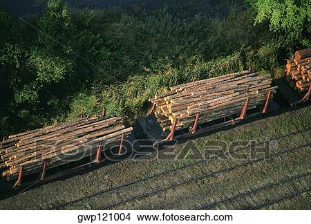 Aerial of a trainload of sawmill logs, Idaho View Large Photo Image Picture - Aerial of a trainload of sawmill logs, Idaho. Fotosearch