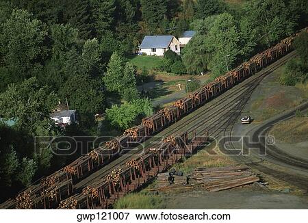 Aerial of a trainload of sawmill logs, Idaho View Large Photo Image Stock Photo - Aerial of a trainload of sawmill logs, Idaho. Fotosearch