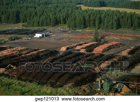 Large commercial sawmill, Idaho, USA View Large Photo Image Stock Image - Large commercial sawmill, Idaho, USA. Fotosearch