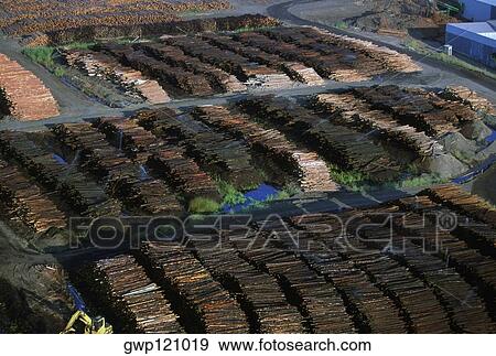 Large commercial sawmill, Idaho, USA View Large Photo Image Stock Photo - Large commercial sawmill, Idaho, USA. Fotosearch