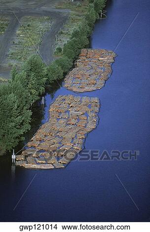 Log rafts flowing to a sawmill, Idaho View Large Photo Image Picture - Log rafts flowing to a sawmill, Idaho. Fotosearch