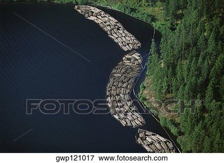 Log rafts flowing to a sawmill, Idaho View Large Photo Image Stock Photo - Log rafts flowing to a sawmill, Idaho. Fotosearch