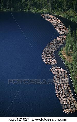 Log rafts flowing to a sawmill, Idaho View Large Photo Image Stock Photo - Log rafts flowing to a sawmill, Idaho. Fotosearch