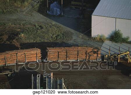 Train load of logs from a sawmill, Idaho View Large Photo Image Stock Image - Train load of logs from a sawmill, Idaho. Fotosearch