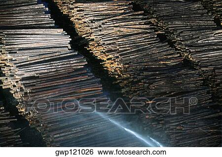 Watering logs to reduce heat buildup, sawmill, Idaho View Large Photo Image Stock Photograph - Watering logs to reduce heat buildup, sawmill, Idaho . Fotosearch