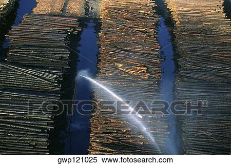 Watering logs to reduce heat buildup, sawmill, Idaho View Large Photo Image Stock Photography - Watering logs to reduce heat buildup, sawmill, Idaho . Fotosearch