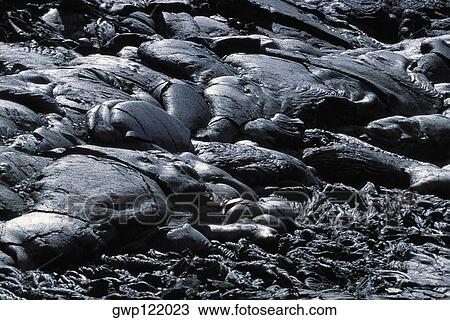 Stock Image - Patterns in Pahoehoe lava, Big Island, Hawaii . Fotosearch
