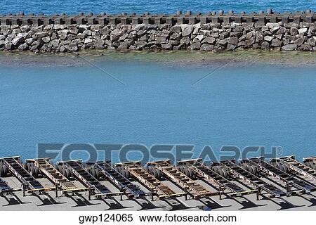 High angle view of trolleys in a row at a commercial dock View Large Photo Image Stock Photography - High angle view of trolleys in a row at a commercial dock. Fotosearch