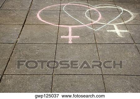 Stock Photo - High angle view of two female symbols drawn on the road with a heart shape. Fotosearch