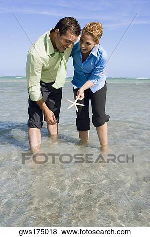 Mid adult couple playing with a starfish in water View Large Photo Image Stock Photo - Mid adult couple playing with a starfish in water. Fotosearch