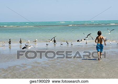 Rear view of a boy running on the beach View Large Photo Image Stock Photo - Rear view of a boy running on the beach. Fotosearch