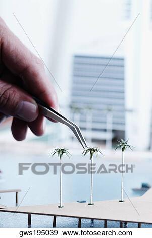 Close-up of a person's hand placing palm trees on an architectural model View Large Photo Image Stock Photo - Close-up of a person's hand placing palm trees on an architectural model. Fotosearch