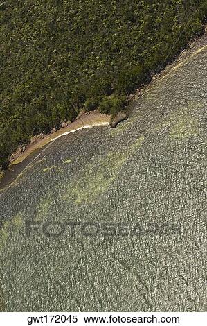 Aerial view of trees at the waterfront, Florida Keys, Florida, USA View Large Photo Image Stock Photography - Aerial view of trees at the waterfront, Florida Keys, Florida, USA. Fotosearch