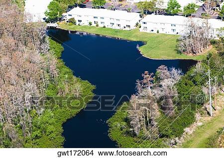 High angle view of a pond in front of a building, Orlando, Florida, USA View Large Photo Image Picture - High angle view of a pond in front of a building, Orlando, Florida, USA. Fotosearch