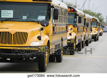 Bus parked in a row View Large Photo Image Picture - Bus parked in a row. Fotosearch