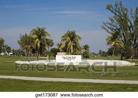 Palm trees in a park, Lake Worth, Palm Beach County, Florida, USA View Large Photo Image Stock Photo - Palm trees in a park, Lake Worth, Palm Beach County, Florida, USA. Fotosearch