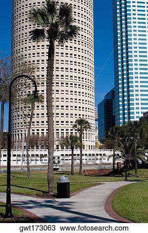 Skyscrapers in a city, Plant Park, University of Tampa, Tampa, Florida, USA View Large Photo Image Stock Image - Skyscrapers in a city, Plant Park, University of Tampa, Tampa, Florida, USA. Fotosearch
