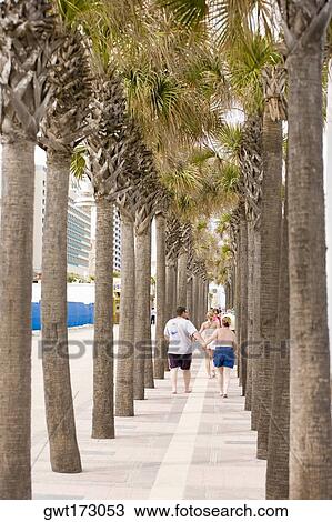 Tourists walking on a walkway, Daytona Beach, Florida, USA View Large Photo Image Stock Image - Tourists walking on a walkway, Daytona Beach, Florida, USA. Fotosearch