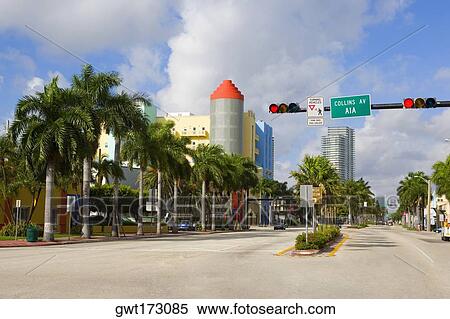 Trees along a road with buildings in the background, South Beach, Miami Beach, Florida, USA View Large Photo Image Stock Photography - Trees along a road with buildings in the background, South Beach, Miami Beach, Florida, USA. Fotosearch