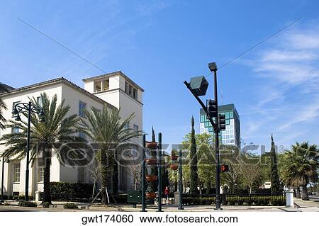 Low angle view of palm trees in front of a building, Orlando, Florida, USA View Large Photo Image Stock Image - Low angle view of palm trees in front of a building, Orlando, Florida, USA. Fotosearch