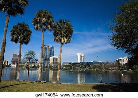 Reflection of buildings in a lake, Lake Eola, Lake Eola Park, Orlando, Florida, USA View Large Photo Image Picture - Reflection of buildings in a lake, Lake Eola, Lake Eola Park, Orlando, Florida, USA. Fotosearch