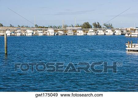Boats moored at a dock, Garrison Bight Marina, Key West, Florida, USA View Large Photo Image Stock Photo - Boats moored at a dock, Garrison Bight Marina, Key West, Florida, USA. Fotosearch