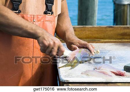 Close-up of a man's hand cutting fish, Florida Keys, Florida, USA View Large Photo Image Stock Photograph - Close-up of a man's hand cutting fish, Florida Keys, Florida, USA. Fotosearch