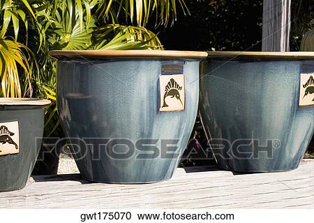 Close-up of three vases, Florida Keys, Florida, USA View Large Photo Image Stock Image - Close-up of three vases, Florida Keys, Florida, USA. Fotosearch