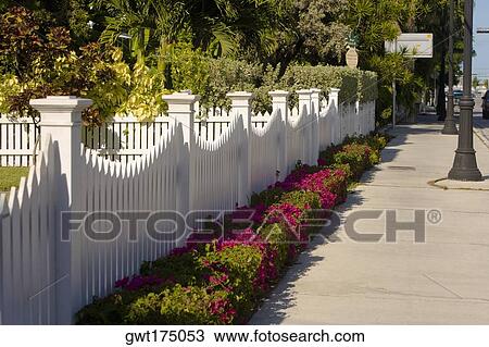 Fence along a sidewalk, Truman Avenue, Key West, Florida, USA View Large Photo Image Stock Image - Fence along a sidewalk, Truman Avenue, Key West, Florida, USA. Fotosearch