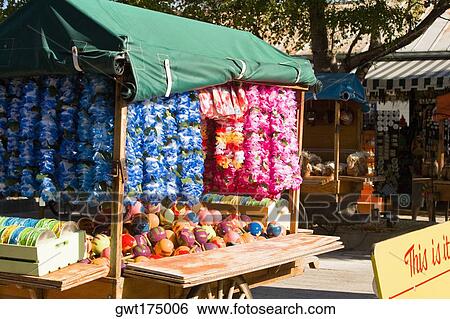 Garlands hanging in a store, Sponge Market, Key West, Florida, USA View Large Photo Image Stock Photograph - Garlands hanging in a store, Sponge Market, Key West, Florida, USA. Fotosearch