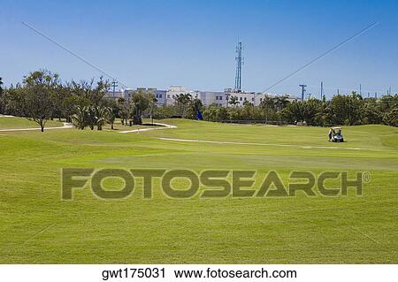 Golf cart in a golf course, Key West, Florida, USA View Large Photo Image Stock Image - Golf cart in a golf course, Key West, Florida, USA. Fotosearch