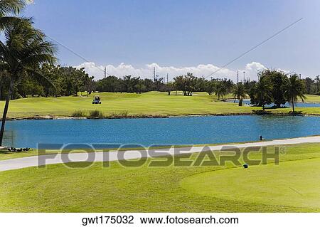 Stock Image - Lake in a golf course, Key West, Florida, USA. Fotosearch