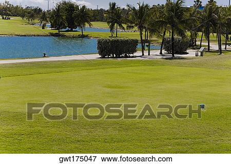 Lake in a golf course, Key West, Florida, USA View Large Photo Image Stock Photo - Lake in a golf course, Key West, Florida, USA. Fotosearch
