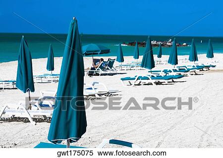 Lounge chairs and beach umbrellas on the beach, Fort Zachary Taylor State Park, Key West, Florida, USA View Large Photo Image Stock Photography - Lounge chairs and beach umbrellas on the beach, Fort Zachary Taylor State Park, Key West, Florida, USA. Fotosearch